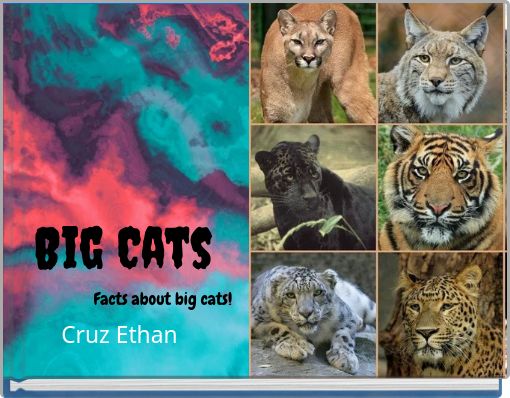 Big Cats Facts about big cats!