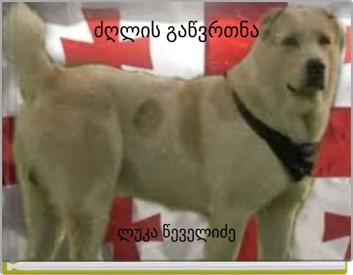 ძღლის გაწვრთნა