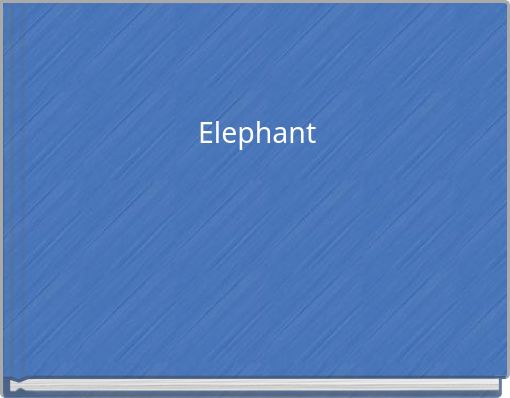 Elephant