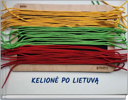 Book Cover for: KELIONĖ PO LIETUVĄ