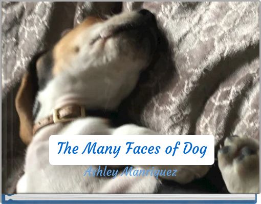 Book Cover for: The Many Faces of Dog