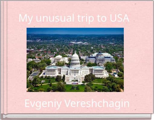 My unusual trip to USA