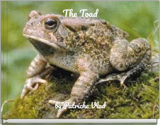 The Toad