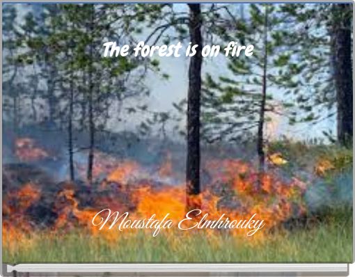 The forest is on fire