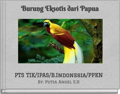 Burung Eksotis dari Papua