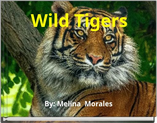 Wild Tigers