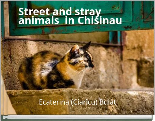 Street and stray animals in Chisinau