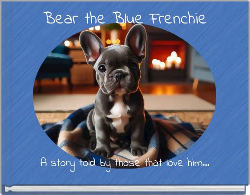 Bear the Blue Frenchie