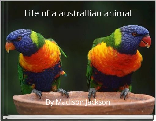 Life of a australlian animal
