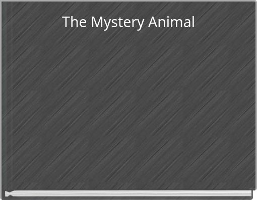 The Mystery Animal