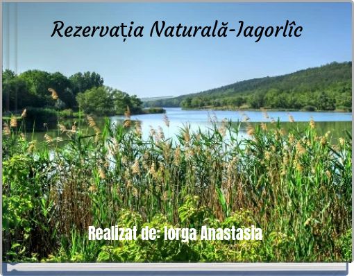 Rezervația Naturală-Iagorl&icirc;c