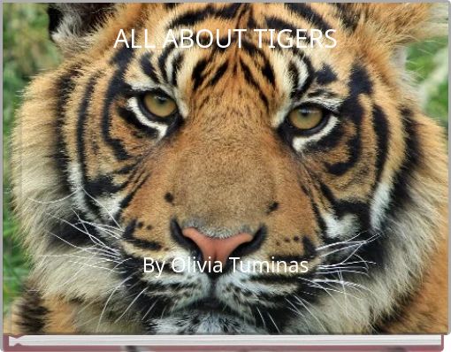 Front cover of 'ALL ABOUT TIGERS' 
