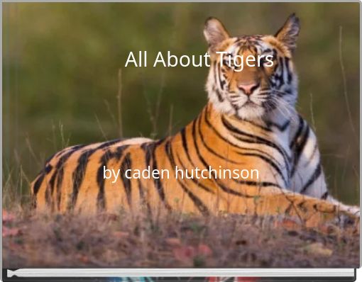 Front cover of 'All About Tigers' 