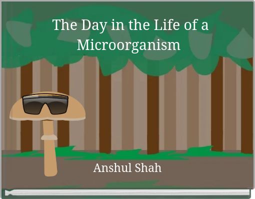 Book Cover for: The Day in the Life of a Microorganism