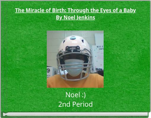 The Miracle of Birth: Through the Eyes of a Baby By Noel Jenkins