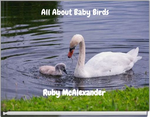 All About Baby Birds