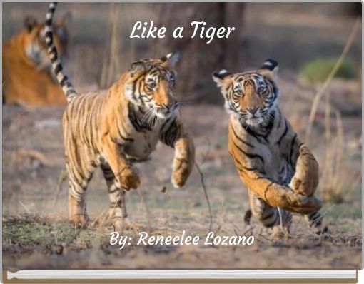 Like a Tiger