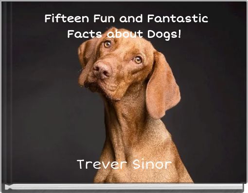 Fifteen Fun and Fantastic Facts about Dogs!