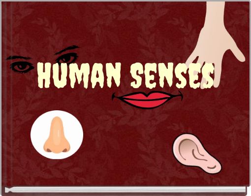 Human Senses