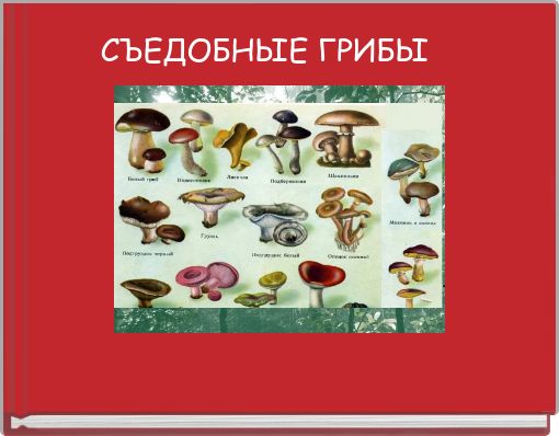 СЪЕДОБНЫЕ ГРИБЫ 