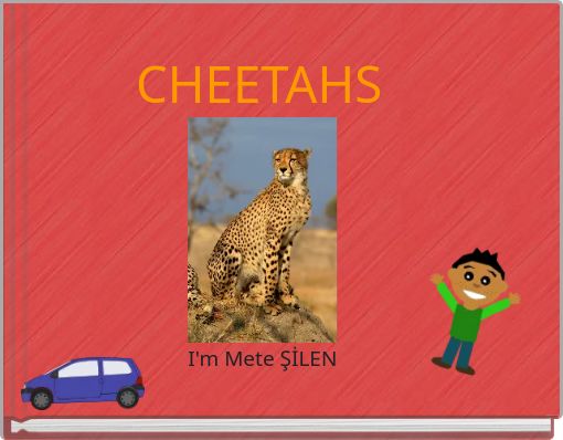 CHEETAHS