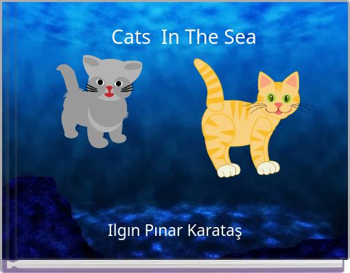 Cats In The Sea