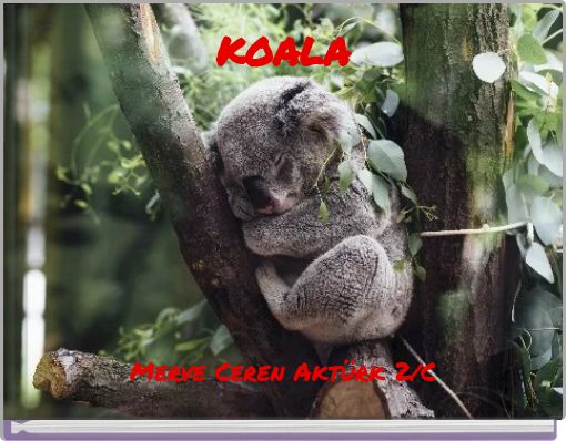 Front cover of 'KOALA' 