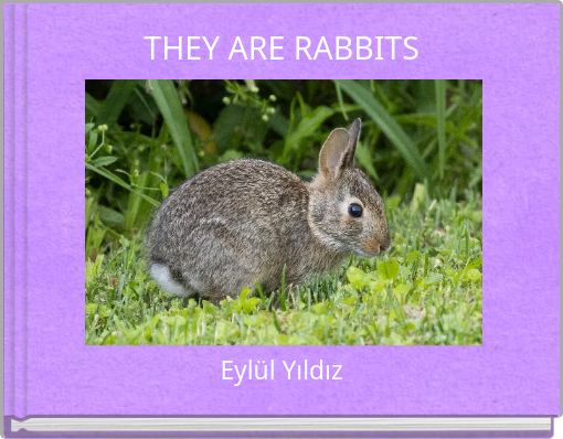 THEY ARE RABBITS