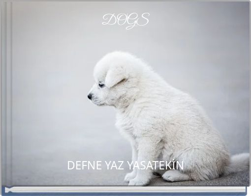Front cover of 'DOGS' 