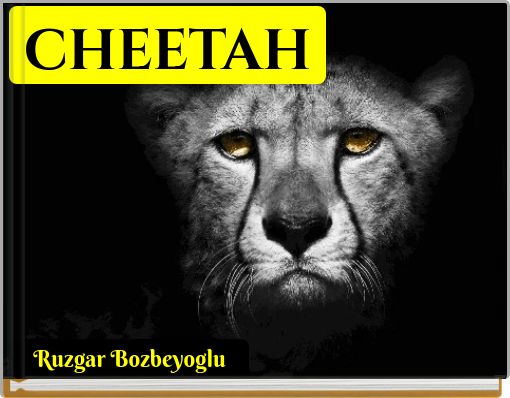 Front cover of 'CHEETAH' 