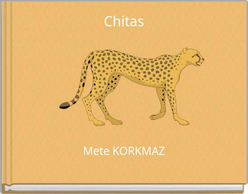 Front cover of 'Chitas' 