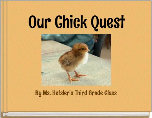 Our Chick Quest