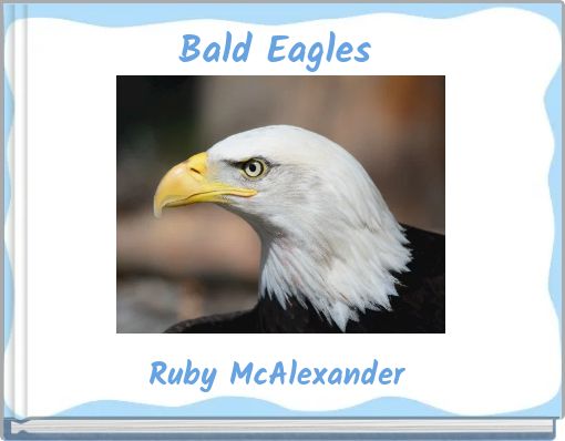 Bald Eagles