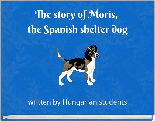 The story of Moris, the Spanish shelter dog