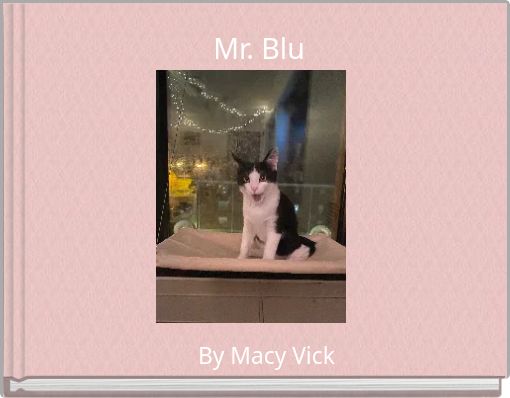 Mr. Blu