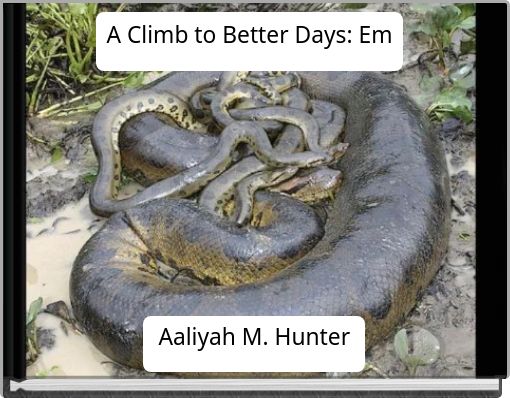 A Climb to Better Days: Em