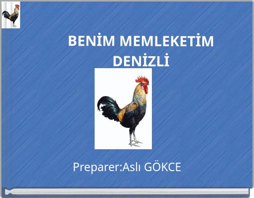 BENİM MEMLEKETİM DENİZLİ