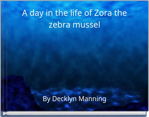 A day in the life of Zora the zebra mussel