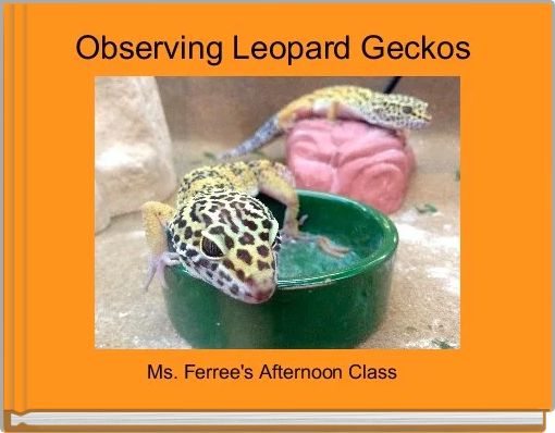 Observing Leopard Geckos