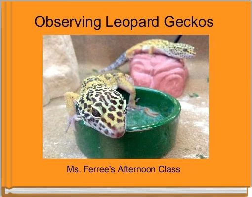 Observing Leopard Geckos 