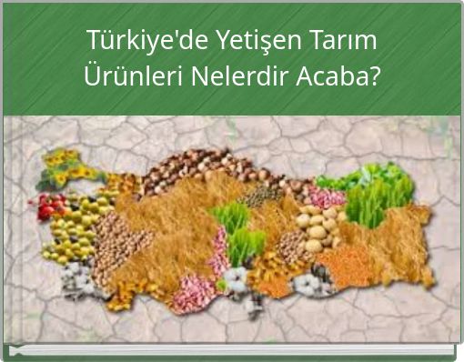 Türkiye'de Yetişen Tarım Ürünleri Nelerdir Acaba?