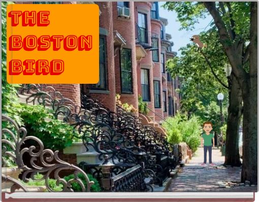 Front cover of 'THE BOSTON BIRD' 