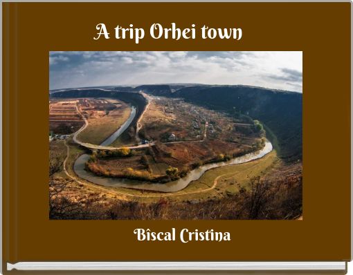 A trip Orhei town