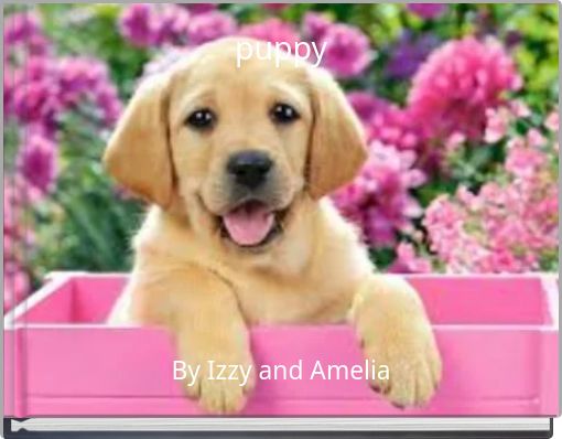 puppy