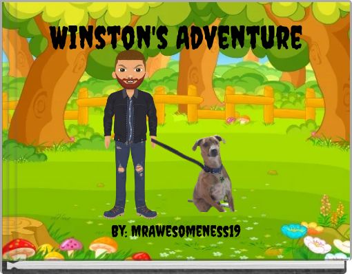 Book Cover for: Winston's Adventure