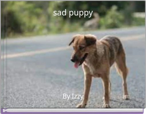 sad puppy
