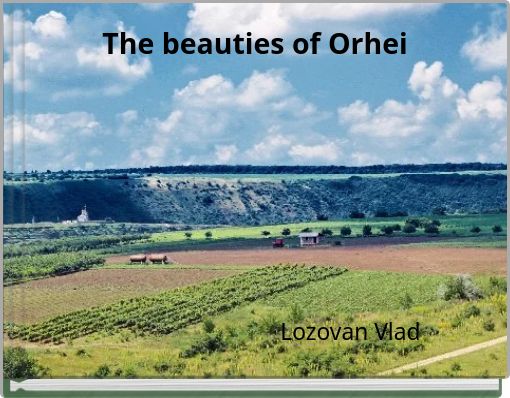 Book Cover for: The beauties of Orhei