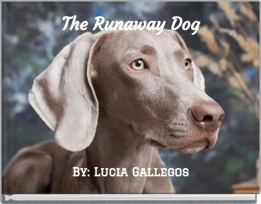 The Runaway Dog