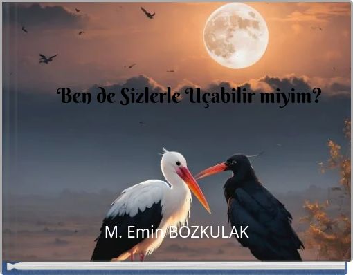 Ben de Sizlerle Uçabilir miyim?