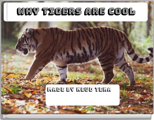 Why Tigers are cool
